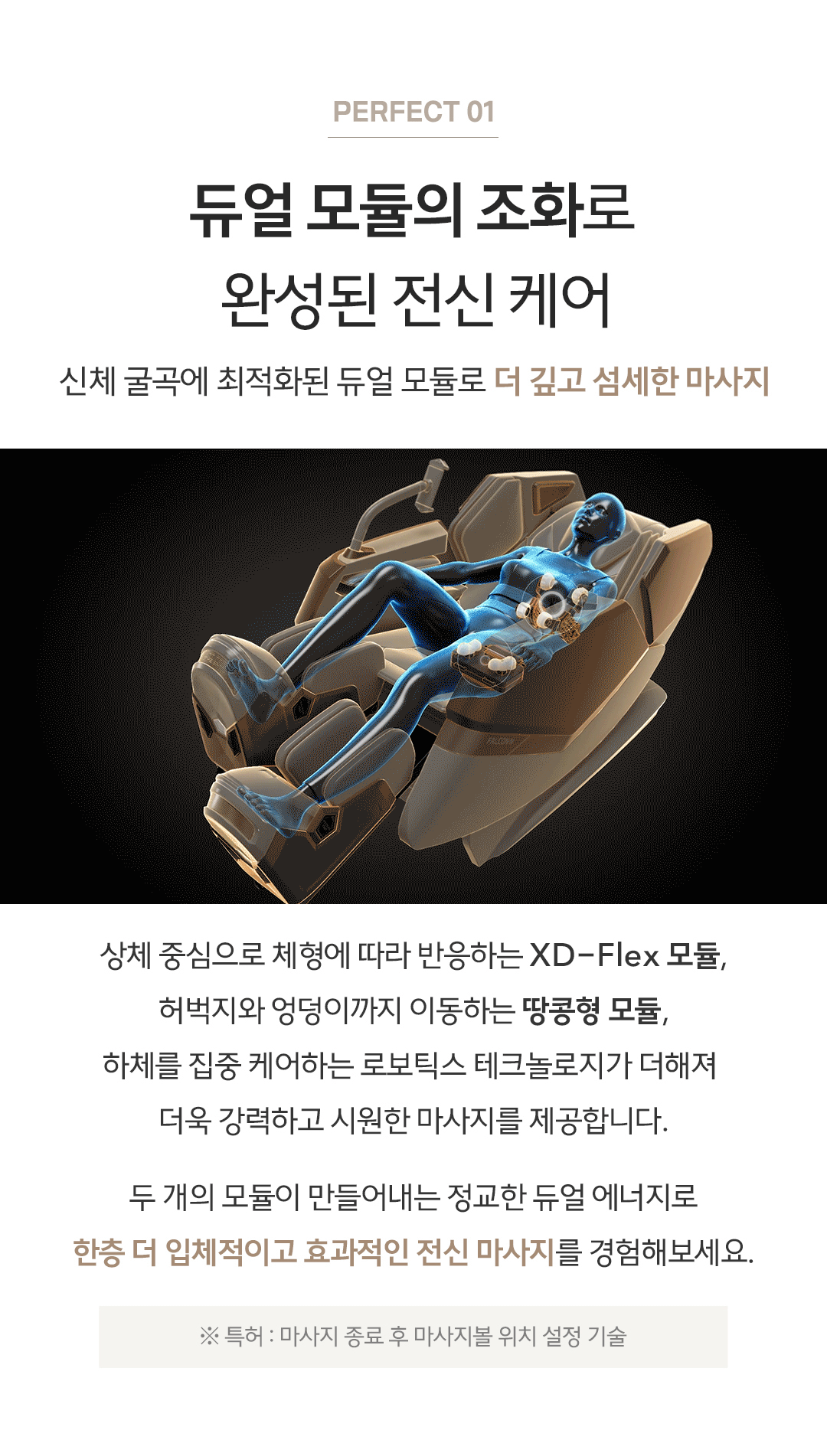 바디프랜드 팔콘N 상세 이미지 2
